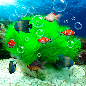 Wallpaper Bergerak Aquarium 3d Image Num 87